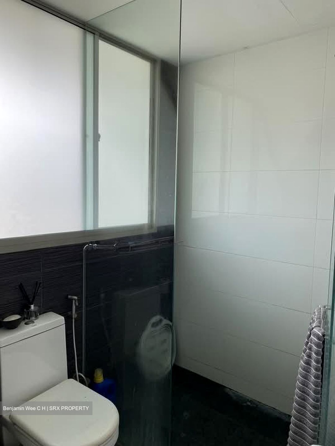 Loft @ Rangoon (D8), Apartment #575347381